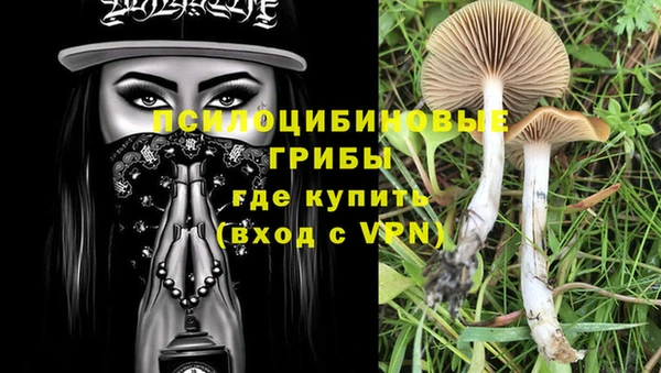 амф Тобольск